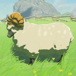 BotW Hyrule Compendium Highland Sheep.png