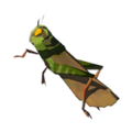 Restless Cricket icon from Hyrule Warriors: Age of Calamity