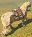 A registered Horse from Breath of the Wild