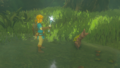 Link showing Kula an Ice Rod
