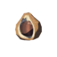 TotK Chickaloo Tree Nut Icon.png