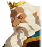 King Rhoam - Zelda Wiki