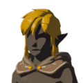 Icon of the Hylian Hood with Brown Dye worn down from Tears of the Kingdom