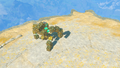 Sage's Will Treasure Chest