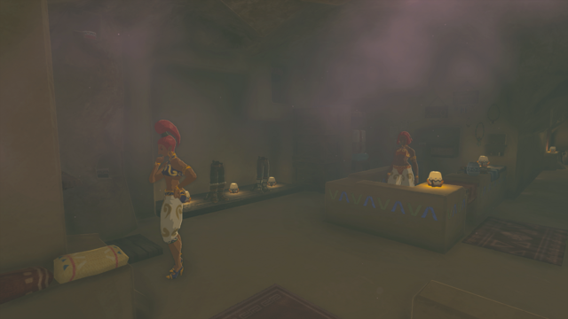 The Fashion Passion Fashion Passion | Zeldapedia | Fandom