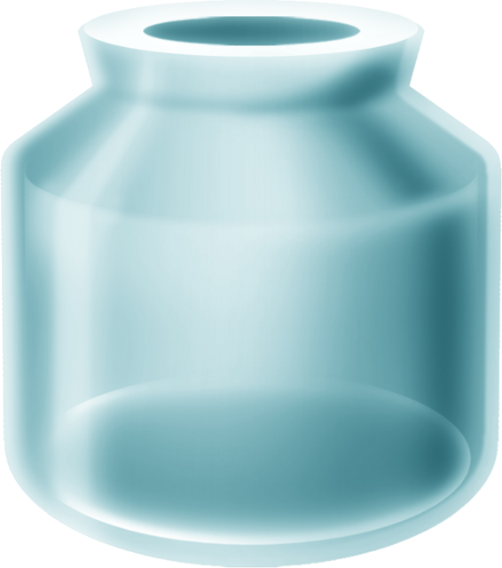Empty Bottle Zelda Wiki
