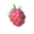 TotK Wildberry Icon.png