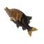 TotK Roasted Cave Fish Icon.png