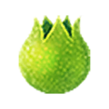 Stamina Fruit Food icon from Hyrule Warriors: Definitive Edition