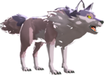 BotW Cold-Footed Wolf Model.png