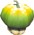 Sun Pumpkin