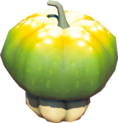 Sun Pumpkin