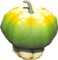 Sun Pumpkin