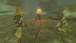 A screenshot of Link and Tulin looking shocked on top of a Fallen Ruin.