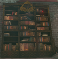 A Bookcase in the Library from Tears of the Kingdom