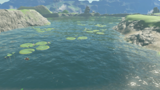 TotK Bottomless Pond.png