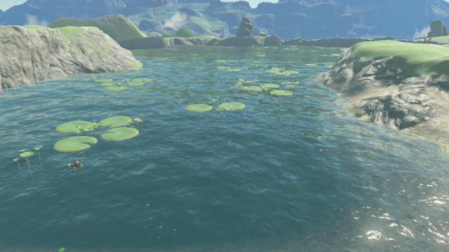 Bottomless Pond - Zelda Wiki