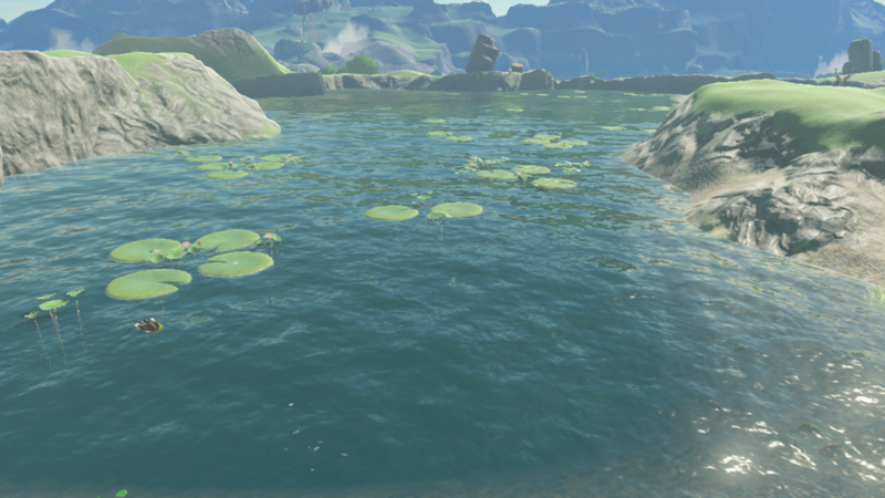 File:TotK Bottomless Pond.png