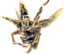 TP Shadow Insect Render 2.png