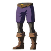 HWAoC Trousers of the Wild Purple Icon.png
