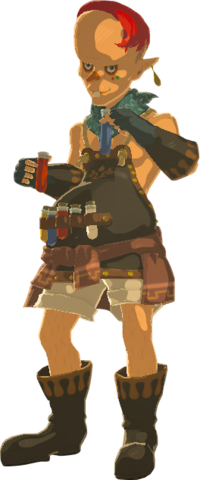 Sayge - Zelda Wiki