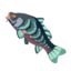 TotK Armored Carp Icon.png