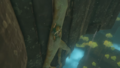 Link Climbing a Tree root