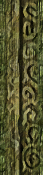 File:TPHD Forest Temple Texture.png
