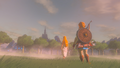 Princess Zelda and Link reuniting
