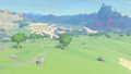 West Hyrule Plains Also in: Tabantha Frontier