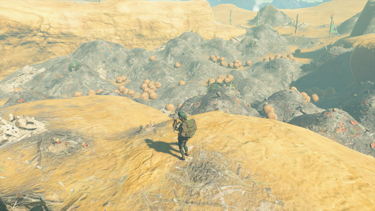 The Great Tumbleweed Purge Zelda Wiki