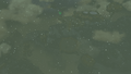West Hebra Sky Archipelago