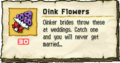 The Oink Flowers along with their description