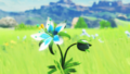 The Silent Princess from the eponymous Recovered Memory in Breath of the Wild