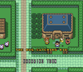The Bug-Catching Kid during the A Link to the Past ending credits