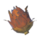 BotW Roasted Voltfruit Icon.png