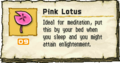 The Pink Lotus along with its description