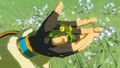 Zelda displaying a newly caught Hot-Footed Frog from Breath of the Wild