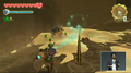 Link using the Gust Bellows from Skyward Sword