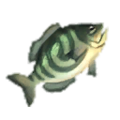 Greengill Food icon from Hyrule Warriors: Definitive Edition