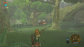 A Woodland Boar being hunted by Link in the E3 2016 demo for Breath of the Wild