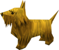 A yellow Dog from Majora's Mask