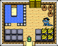 The interior of Sale's House o' Bananas from Link's Awakening DX