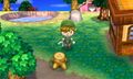 Triforce special tree stump pattern in Animal Crossing: New Leaf