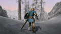 The Dovahkiin equipped with the Champion's Tunic, Master Sword and Hylian Shield