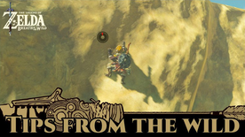 BotW Tips from the Wild Banner 07.png