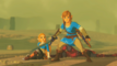Blades of the Yiga