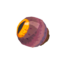 TotK Fire Keese Eyeball Icon.png