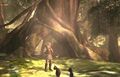 Unused forest in Twilight Princess