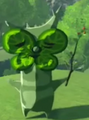 A Korok with a similar design to Linder from Breath of the Wild